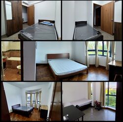 Westcove Condominium (D5), Condominium #533650001